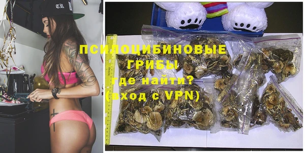 твердый Слюдянка